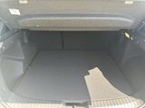 Miniature DACIA DUSTER
